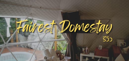 fairest domestay cover
